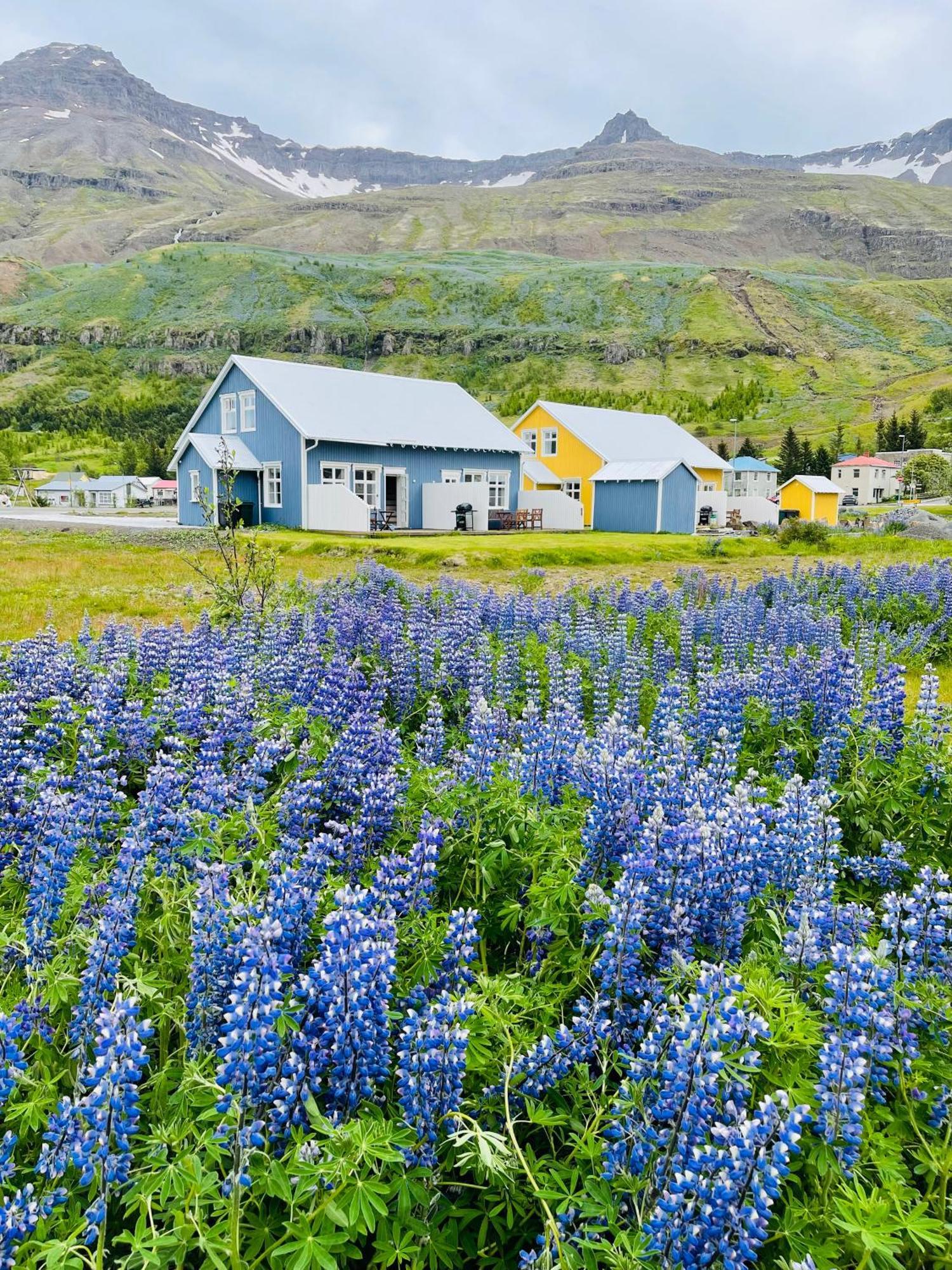 Lonsleira Apartments Seyðisfjörður Exteriér fotografie