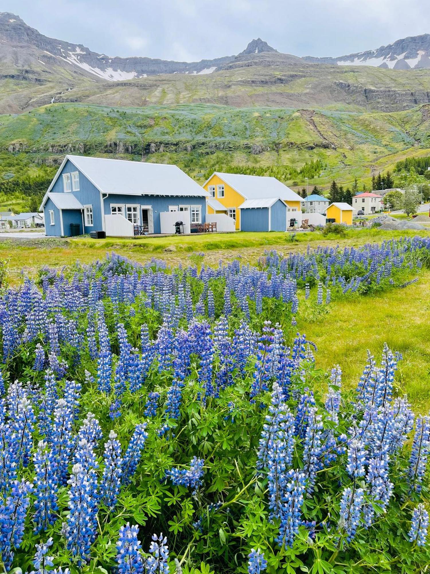 Lonsleira Apartments Seyðisfjörður Exteriér fotografie